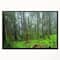 Designart - Hoh Rain Forest - Landscape Photography Framed Canvas Art Print